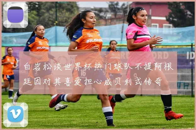 白岩松谈世界杯热门球队不提阿根廷因对其喜爱担心成贝利式传奇