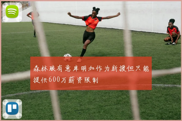 森林狼有意库明加作为新援但只能提供600万薪资限制