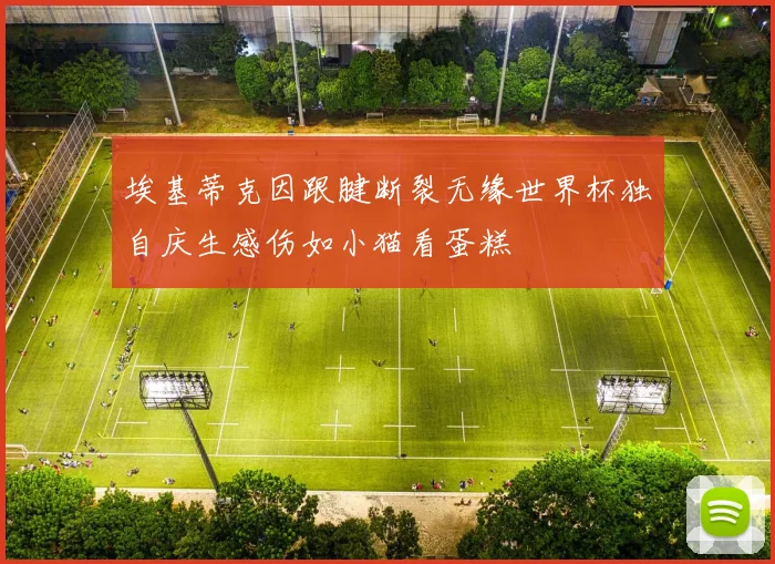 埃基蒂克因跟腱断裂无缘世界杯独自庆生感伤如小猫看蛋糕